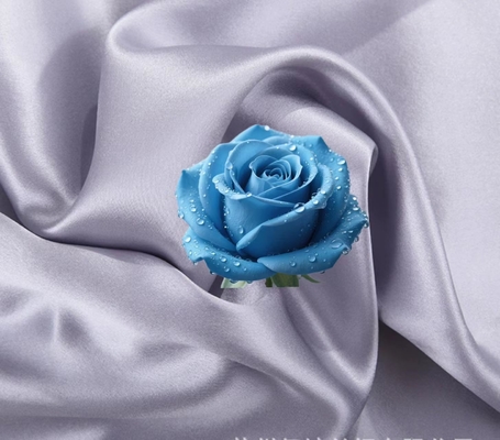 Double-Sided Satin Imitation Silk  97% Polyester 3% Spandex Satin Polyester 190gsm Evening Gowns Blouses And Scarves